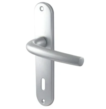 Ensemble de poignée de porte MADRID argent clé L