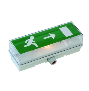 Bloc Etanche STD - Incandescent - NP - 45 lm - IP66/IK10