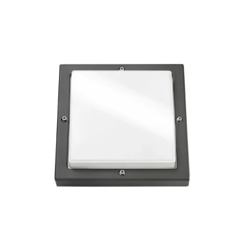 Hublot extérieur BASSO 19W blanc  2000 LED 3000K IP65 IK10 classe II