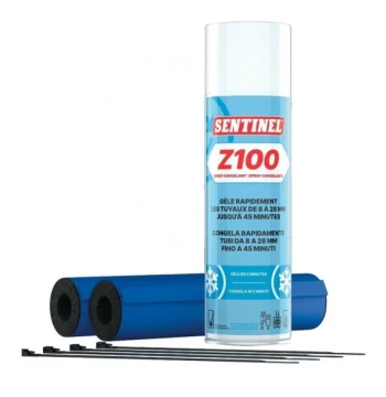 Z100 Spray Congelant