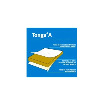 Dalle de plafond modulaire EUROCOUSTIC TONGA BLANC BD épaisseur 22 mm dimension :  600 X 600 mm, carton de 8,64 M2